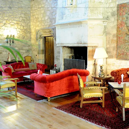 Chateau De Brindos 5* 安格雷