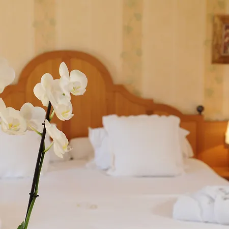 酒店 Chateau De Brindos 安格雷