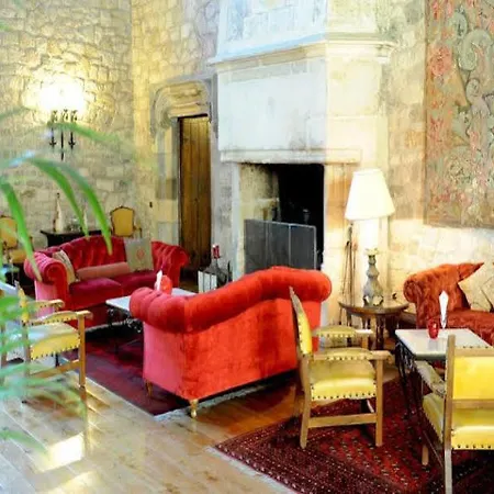 Chateau De Brindos 酒店 安格雷