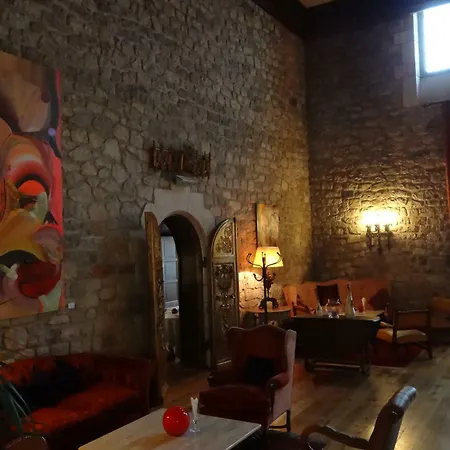 酒店 Chateau De Brindos